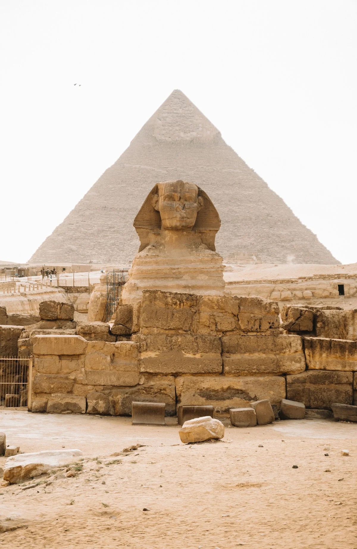 Cairo Pyramids and Egyptian Museum Day Tour